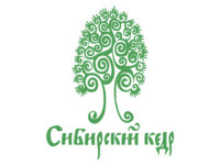 Сибирский кедр